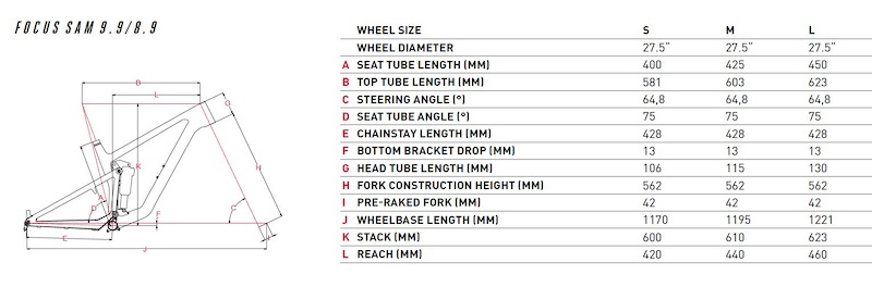 Focus Bike Size Chart