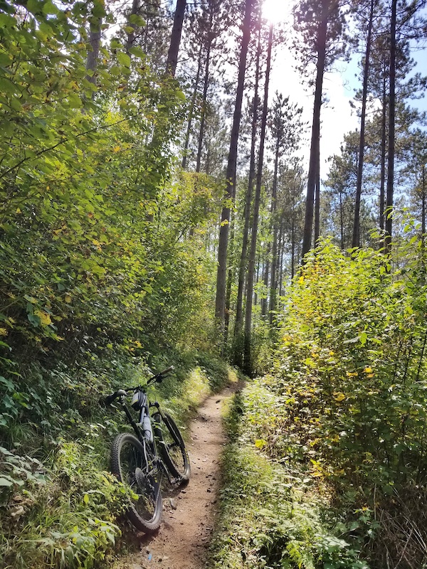 Seeley Pass Multi Trail Seeley, Wisconsin Trailforks