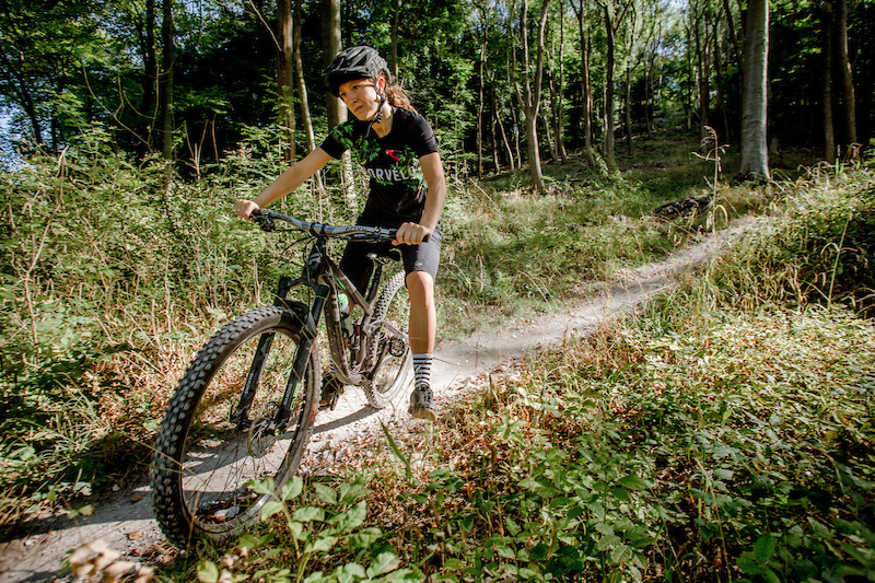 queen elizabeth country park mtb