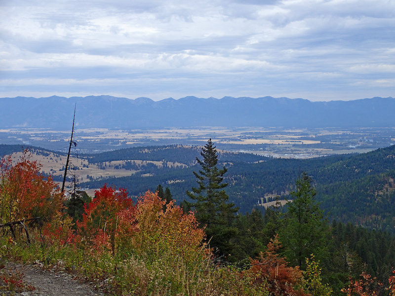 Blacktail to Herron Multi Trail Kalispell, Montana