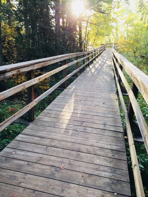 MacKenzie Ravine Mountain Biking Trail Northwest Edmonton