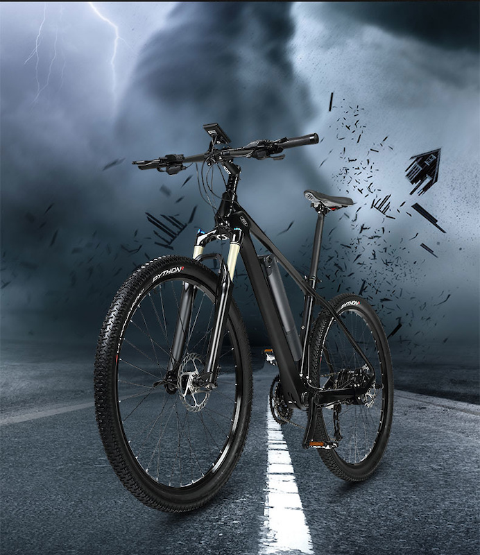 2018 Carbon Fiber Frame 250W Electric Mountain Bike For Sale