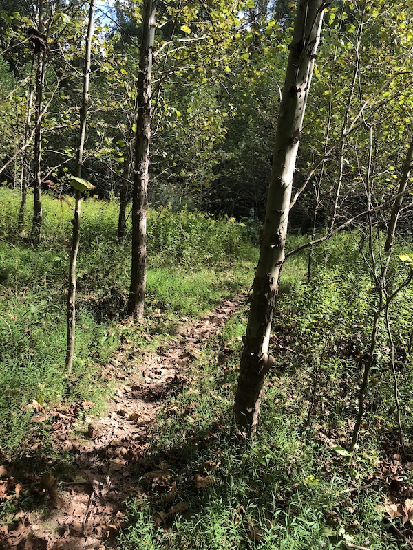 Ridge Trail Mountain Biking Trail Baltimore, Maryland