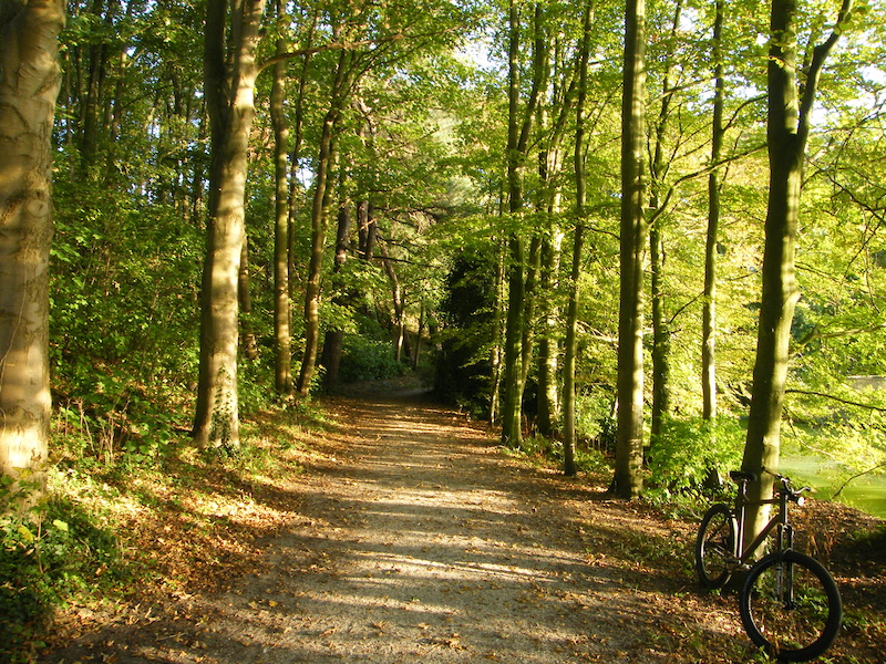 Singlespeed den haag