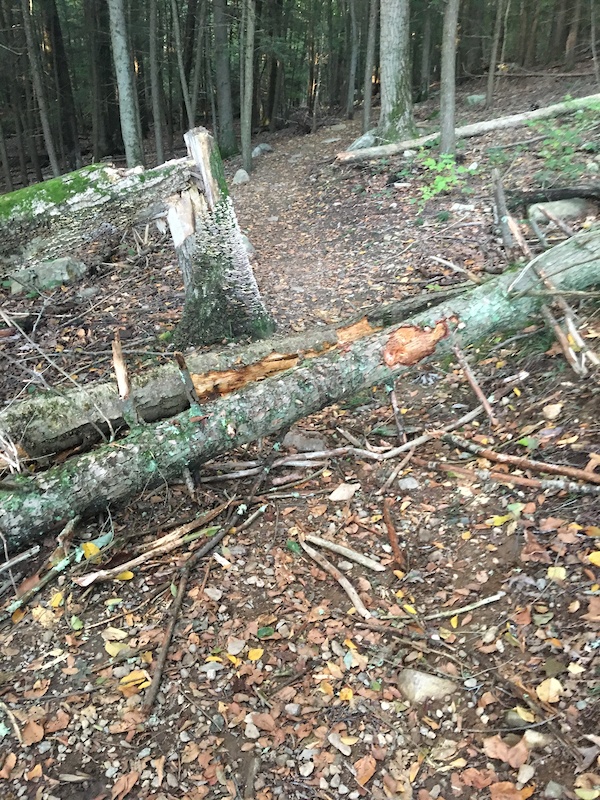 Blue Blaze Trail Multi Trail Easton, Connecticut