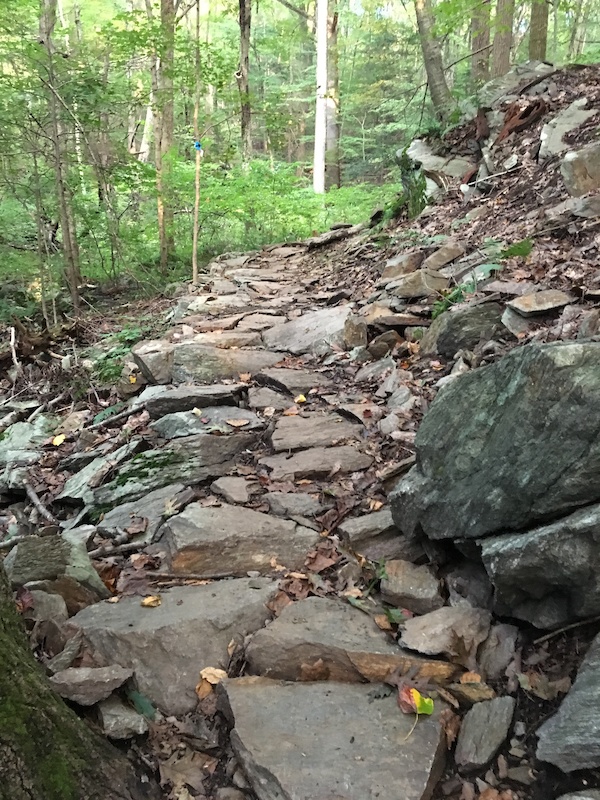 blue velvet mountain bike trail