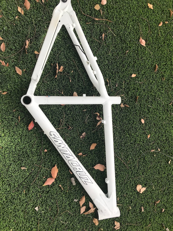 chameleon frame santa cruz