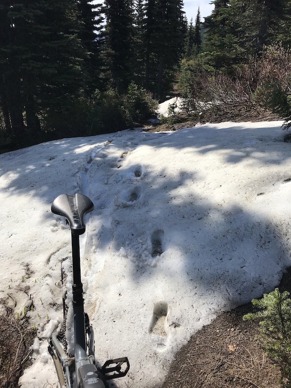 Noble Knob TR 1184 Mountain Biking Trail Greenwater