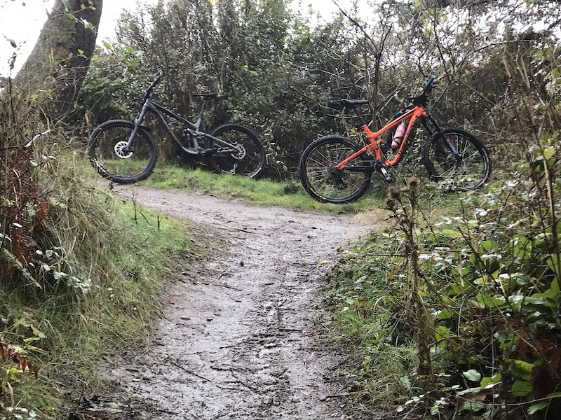 Cedar Grove Mountain Biking Trail Coupeville, WA