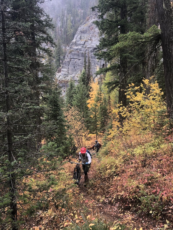 Cabin Lake Trail (459) Mountain Biking Trail Thompson Falls, MT