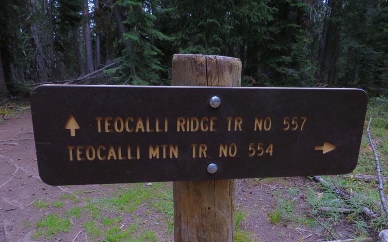 Take a right onto Teocalli Ridge Trail,which will climb and traverse the southern portion of Teocalli Mountain.