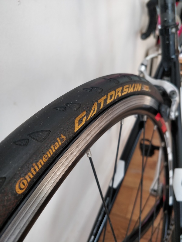 avanti giro endurance 1