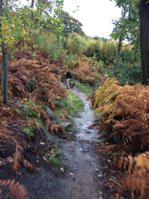 Esholt Woods, Bradford Mountain Biking Trails | Trailforks