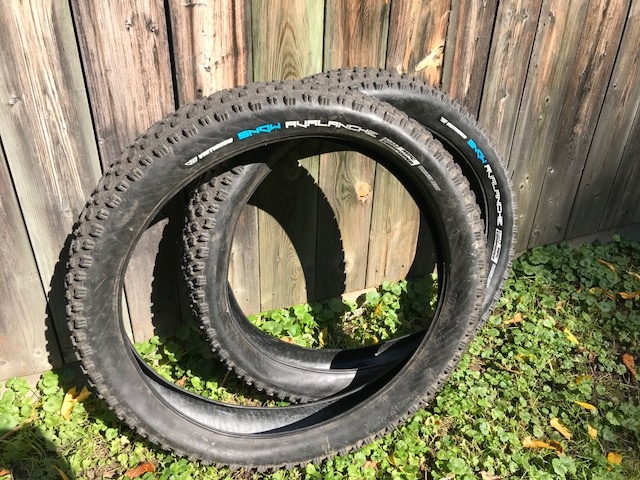 avalanche fat bike