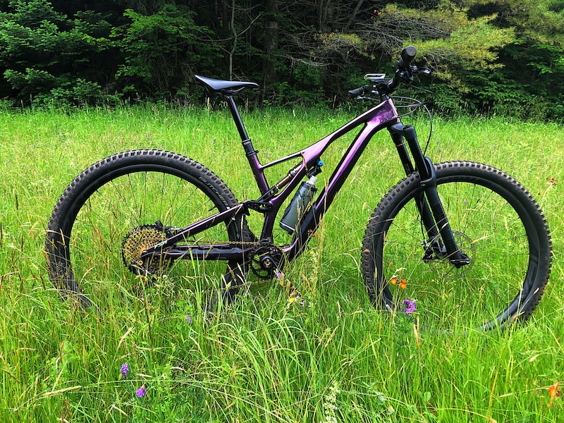 chaussure s works 2019