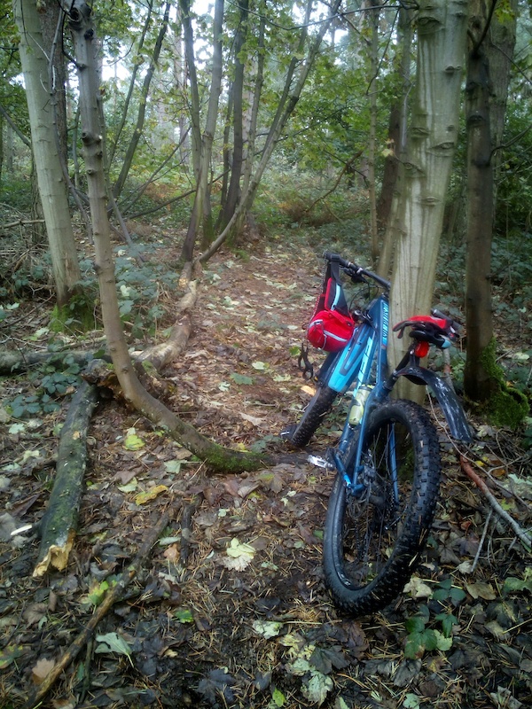 Breadcrumbs Mountain Biking Trail Shrewsbury