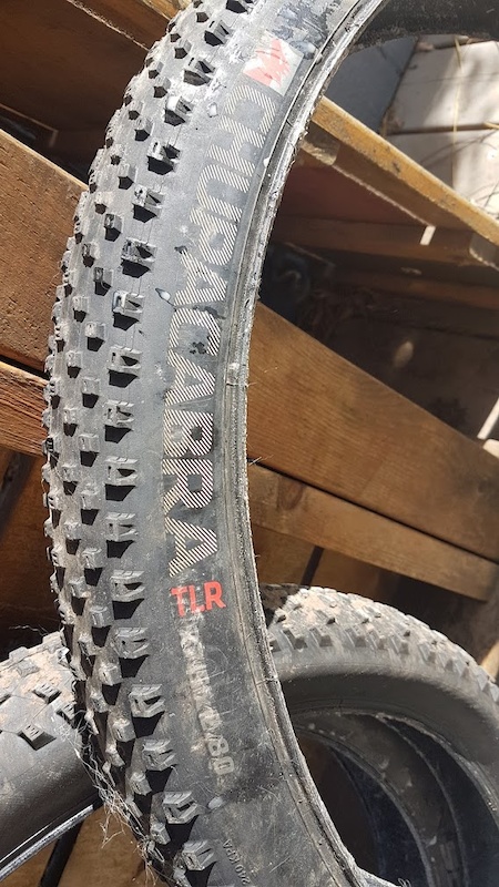 bontrager chupacabra for sale