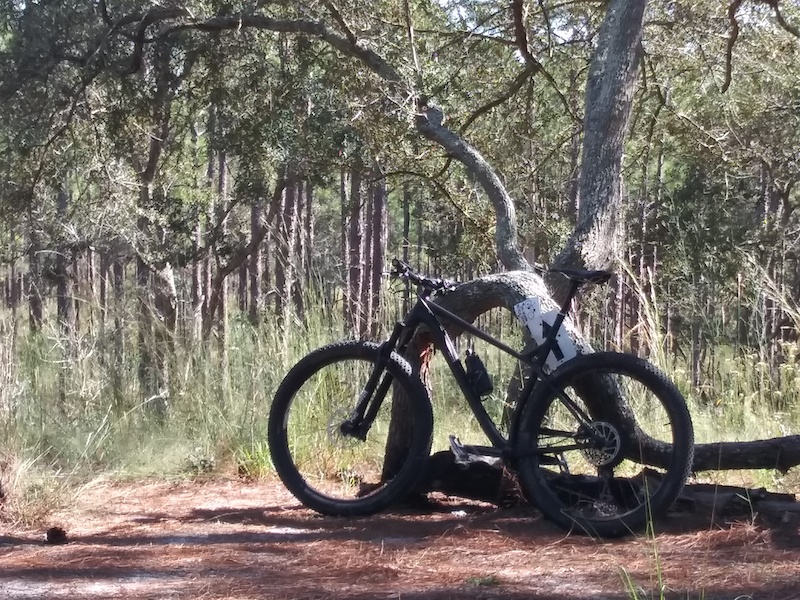 Sugar Mountain Loop Multi Trail - Brooksville, Florida