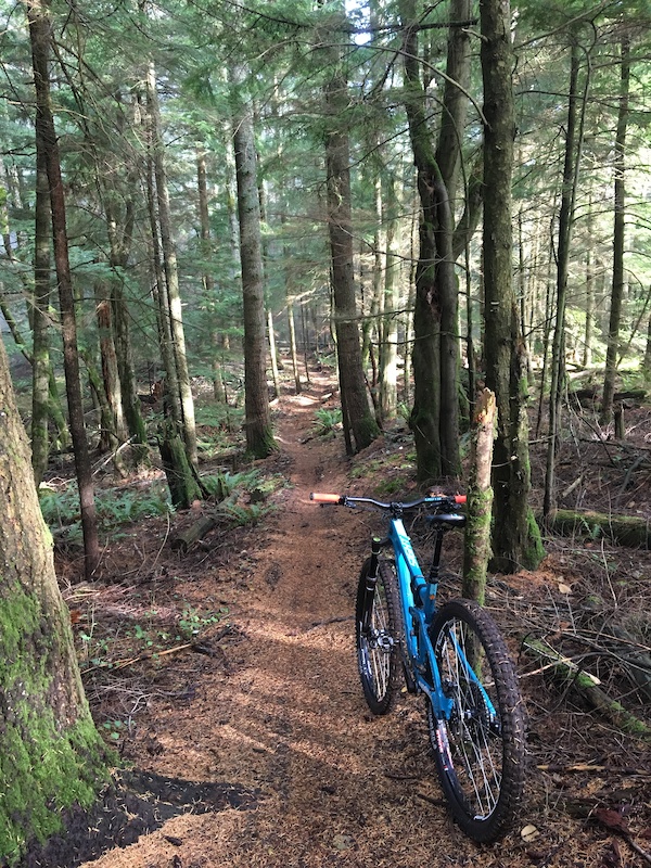 Cougar Ridge Mountain Biking Trail - Bellingham, WA