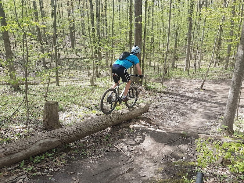 Puslinch Township Ontario Mountain Biking Trails Trailforks