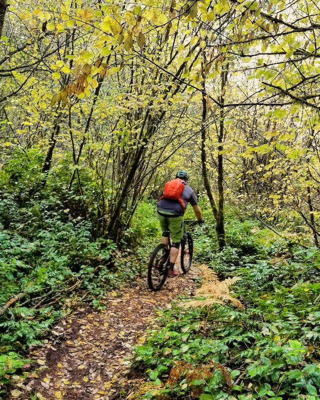 Banner Loop Mountain Biking Trail Gig Harbor, WA