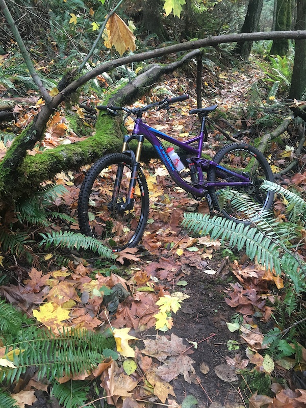 247 Mountain Biking Trail Anacortes, Washington