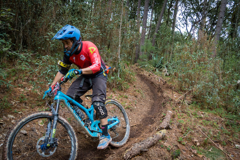Bicicleta en sendero boscoso