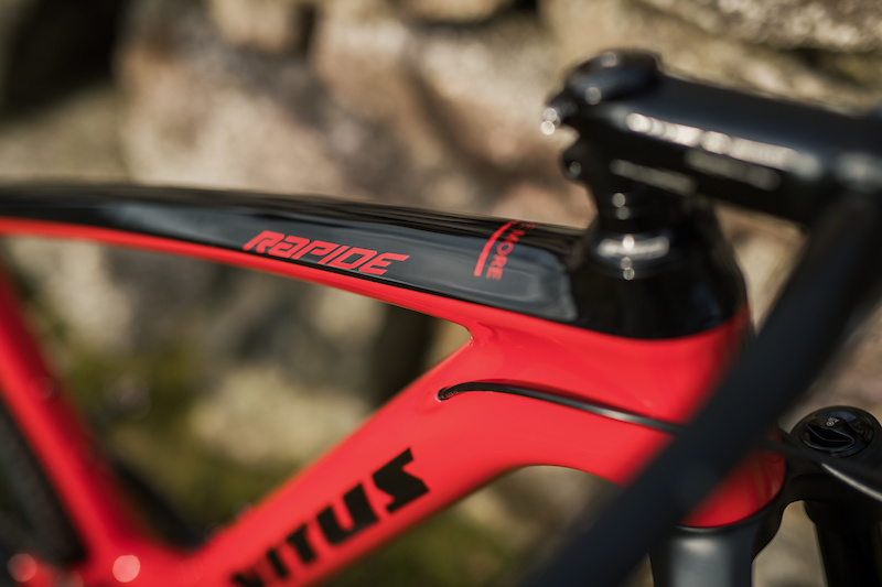 vitus rapide vr 2019