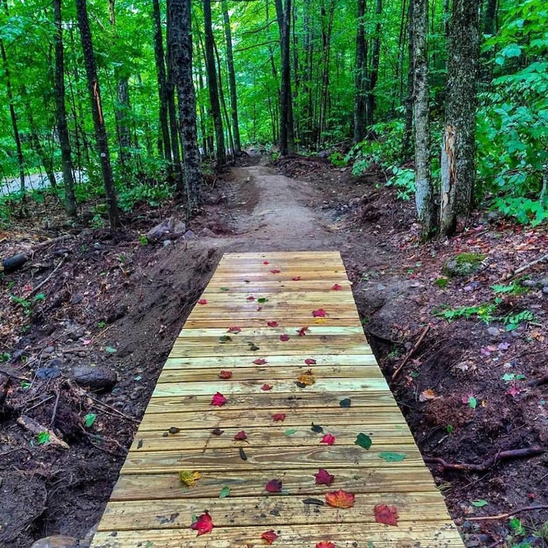 Quimby Trail Mountain Biking Trail Dorchester, NH
