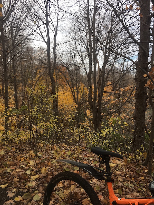 Creekbank Mountain Biking Trail - Etobicoke, Ontario