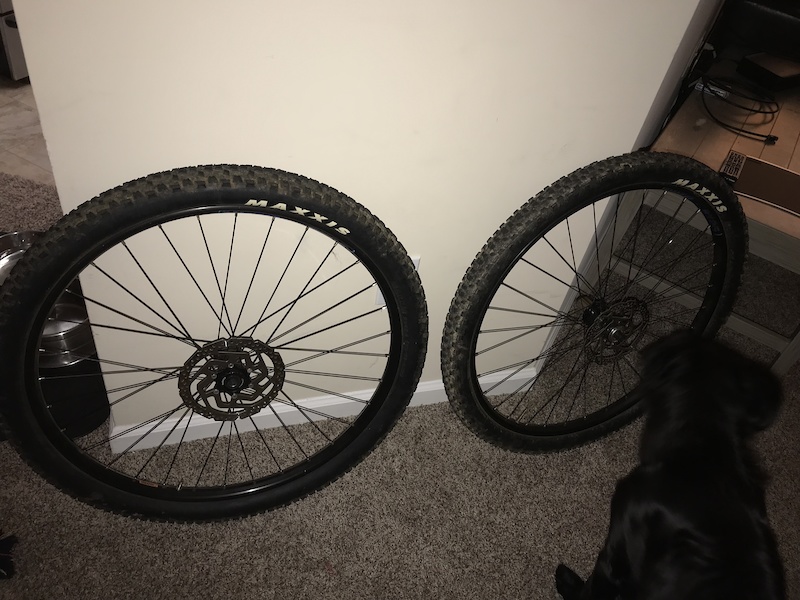 rims wtb sx19 32h