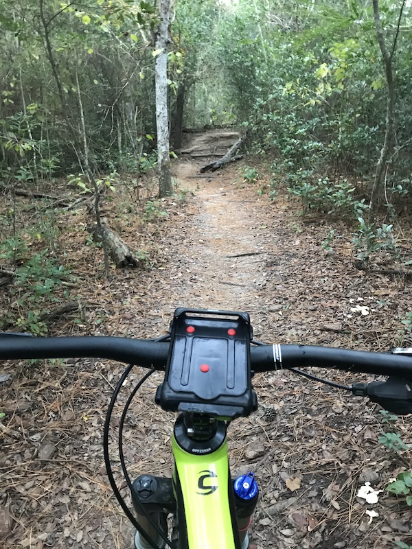 memorial park mtb trails