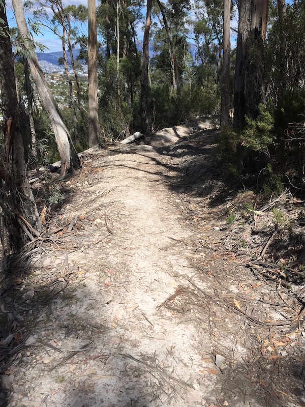 Clarence Top DH Mountain Biking Trail - Hobart