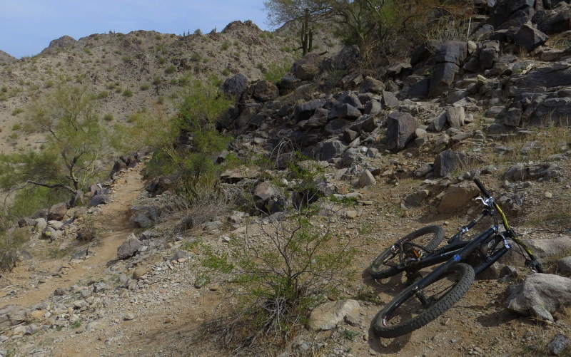 Up There Mountain Biking Trail Goodyear, Arizona