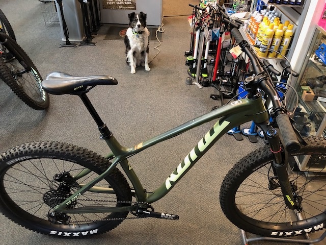 2018 kona big honzo dl