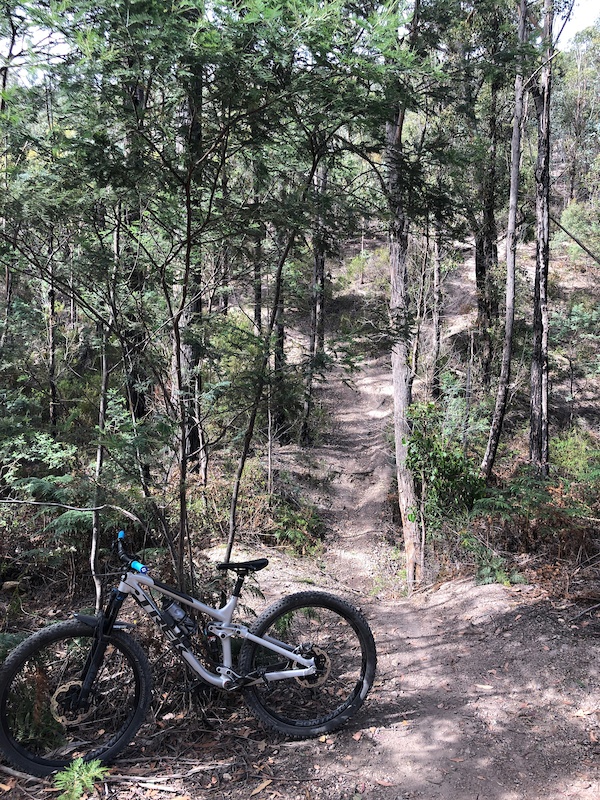Death Log Mountain Biking Trail Hobart Trailforks