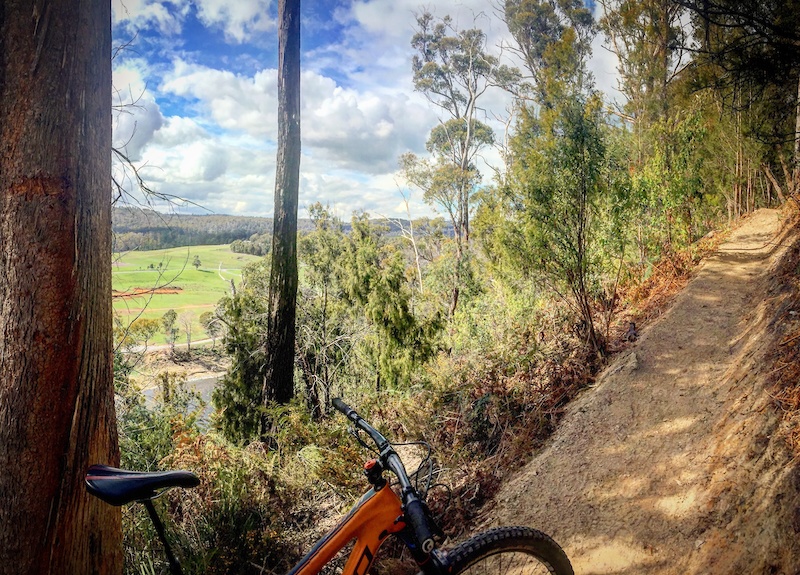 Big Bend Mountain Biking Trail Wild Mersey Latrobe