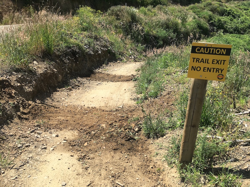 Jacks Track (lower) Multi Trail Codgers, Nelson