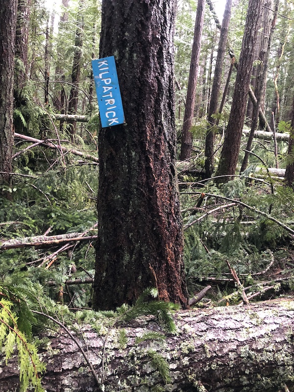 Kilpatrick Mountain Biking Trail Nanaimo, BC
