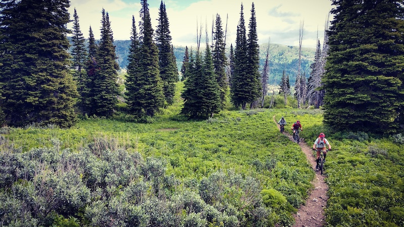 Fleming Canyon/Lairs Peak Mountain Biking Trail - Victor