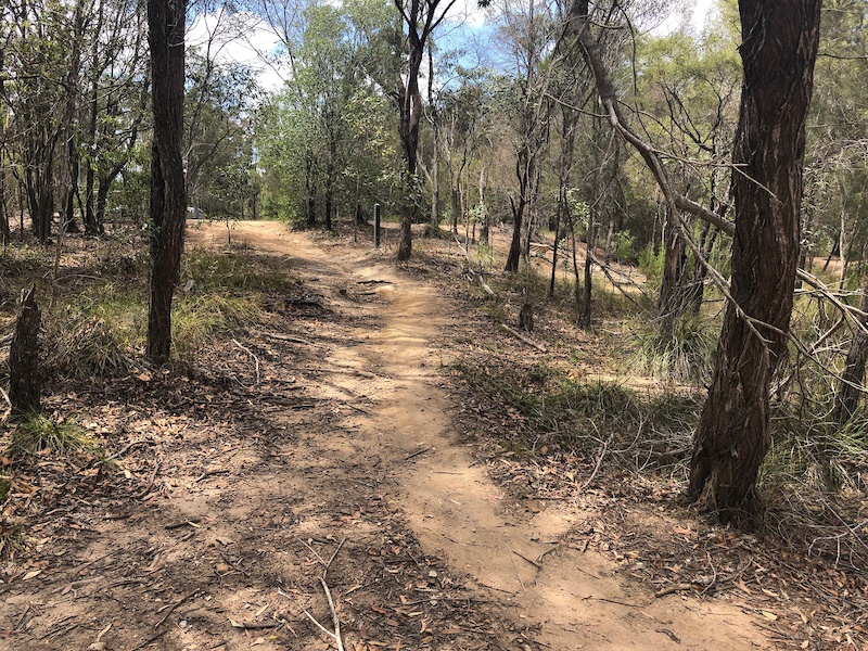 Underwood Park, Logan Mountain Biking Trails Trailforks