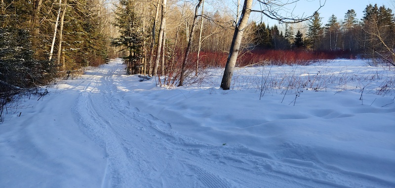 Winter - 02b Mountain Biking Trail - Bathurst, NB