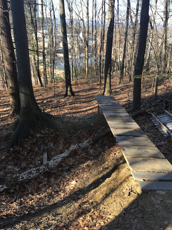 Veggy's Delight Mountain Biking Trail Amherst, MA