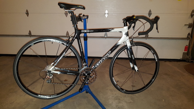 2006 giant tcr limited