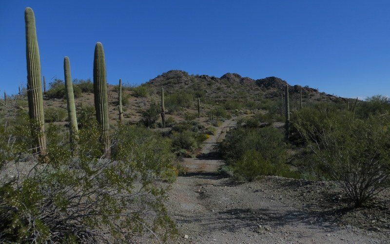 Roller Coaster Mountain Biking Trail - Ajo, AZ