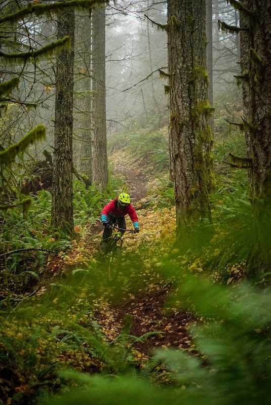 Great winter riding in the Tillamook State Forest, Oregon. Photo by Kerstin Holster