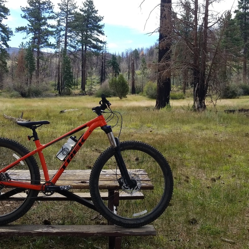 2018 trek roscoe 8 for sale