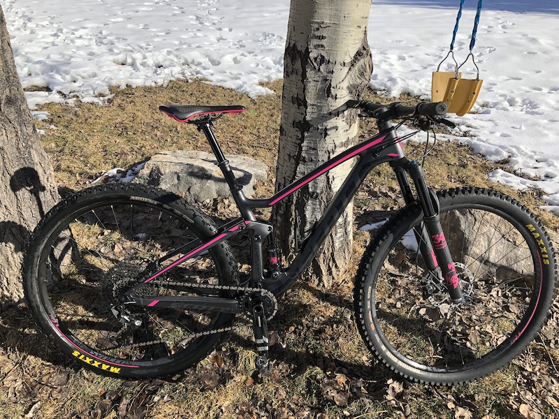 scott spark contessa 2020