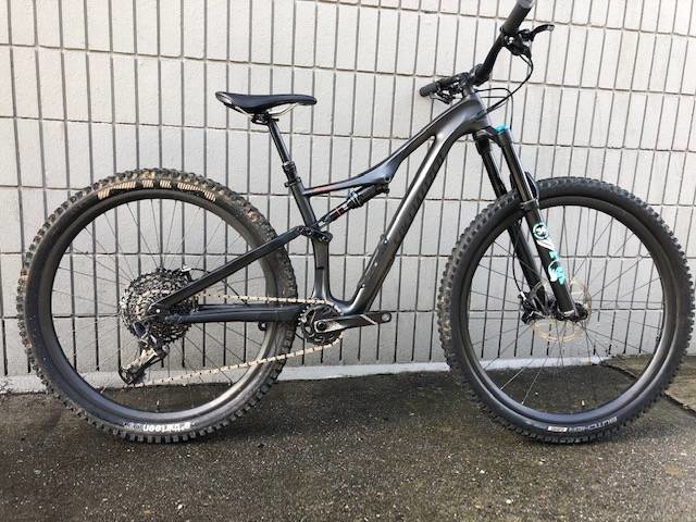 2018 SOLD Men's Stumpjumper Expert For Sale