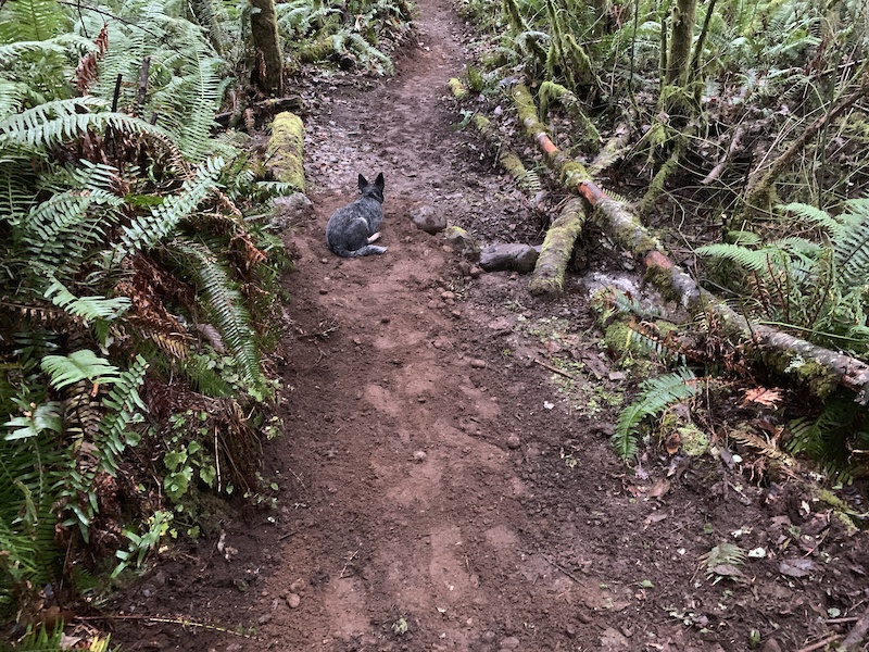 bear mountain bike path